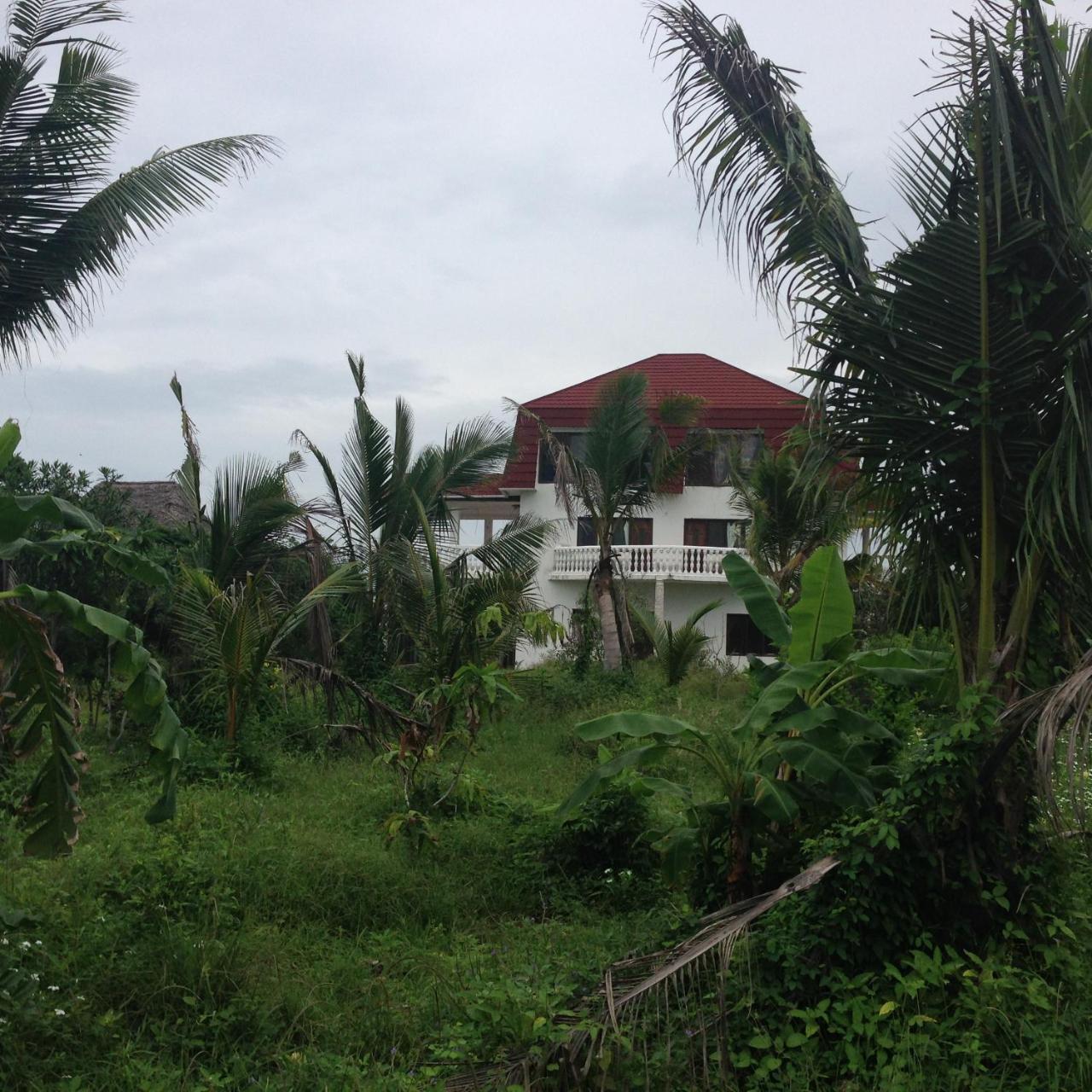Hotel Crim Wind Freedom Jambiani  Exterior foto